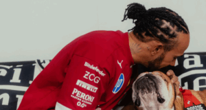 Lewis Hamilton en angustia por su perro ‘Roscoe’ Lewis Hamilton en angustia por su perro 'Roscoe'