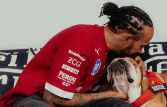 Lewis Hamilton en angustia por su perro ‘Roscoe’ Lewis Hamilton en angustia por su perro 'Roscoe'